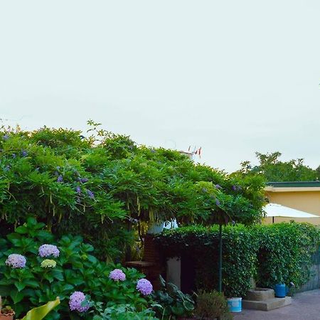 A Tintureira Villa São Martinho de Antas Exterior foto