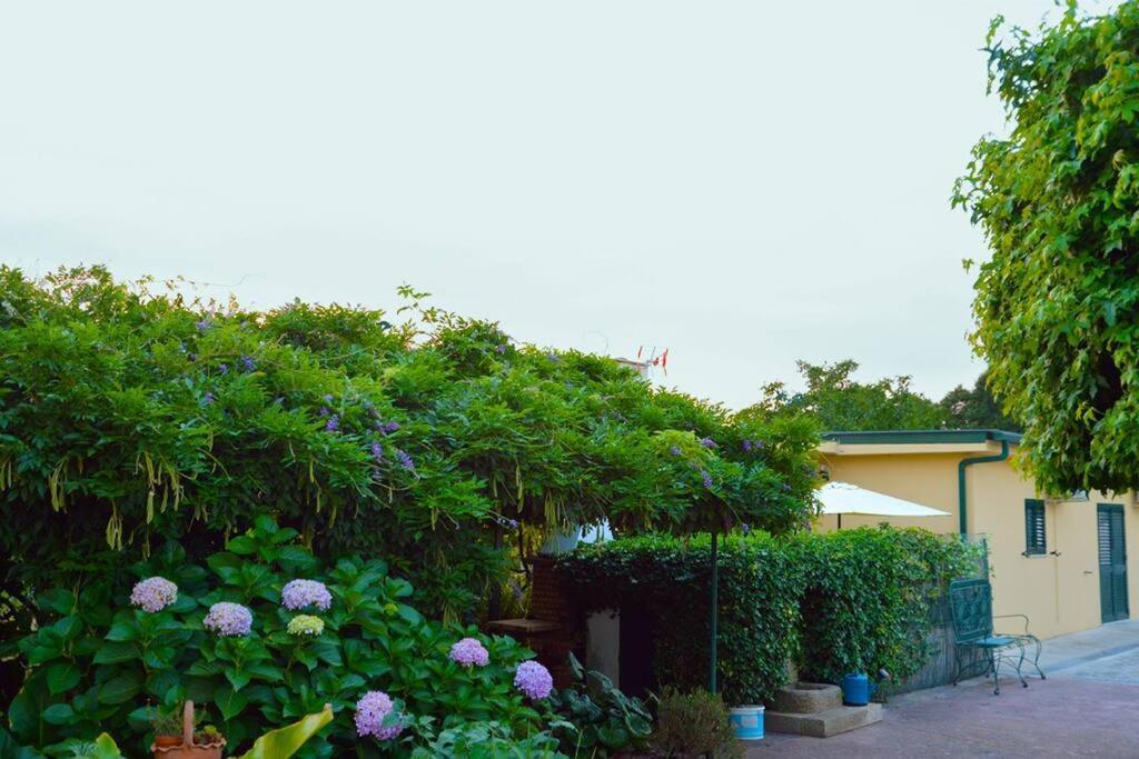 A Tintureira Villa São Martinho de Antas Exterior foto