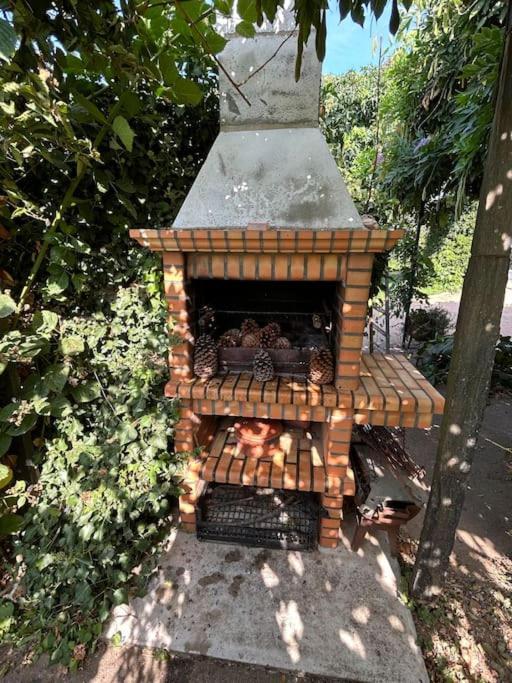 A Tintureira Villa São Martinho de Antas Exterior foto
