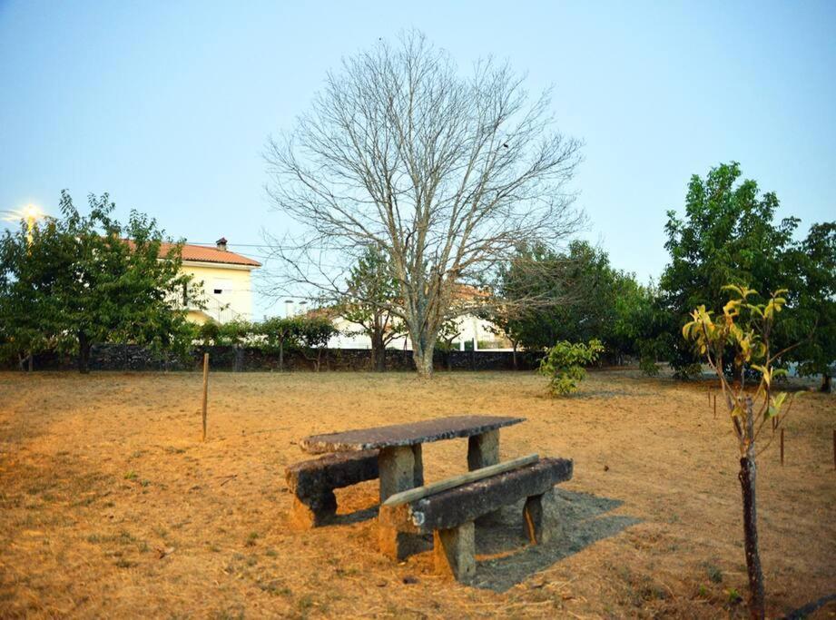 A Tintureira Villa São Martinho de Antas Exterior foto